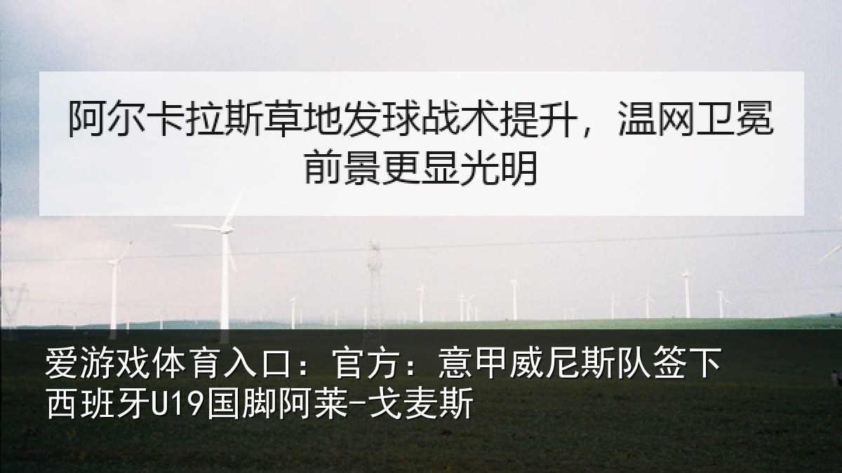 爱游戏体育入口：官方：意甲威尼斯队签相关情况-戈麦斯