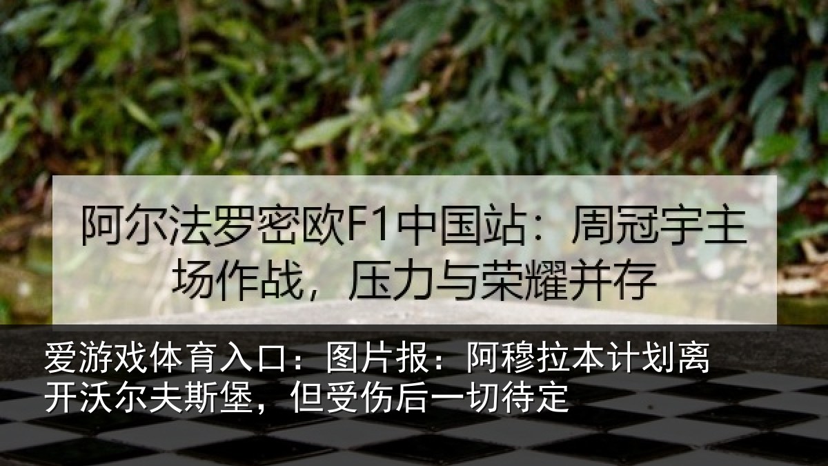 爱游戏体育入口：图片报：阿穆拉本计相关情况，但受伤后一切待定