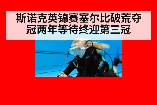 斯诺克英锦赛塞尔比破荒夺冠两年等待终迎第三冠